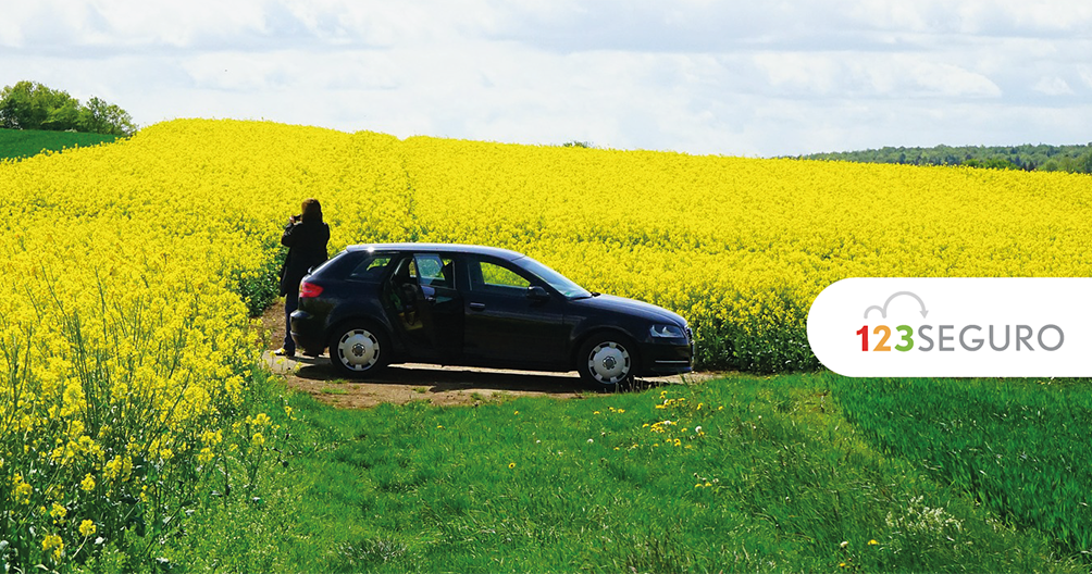 Día de la Primavera
