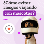 viajar con tu mascota